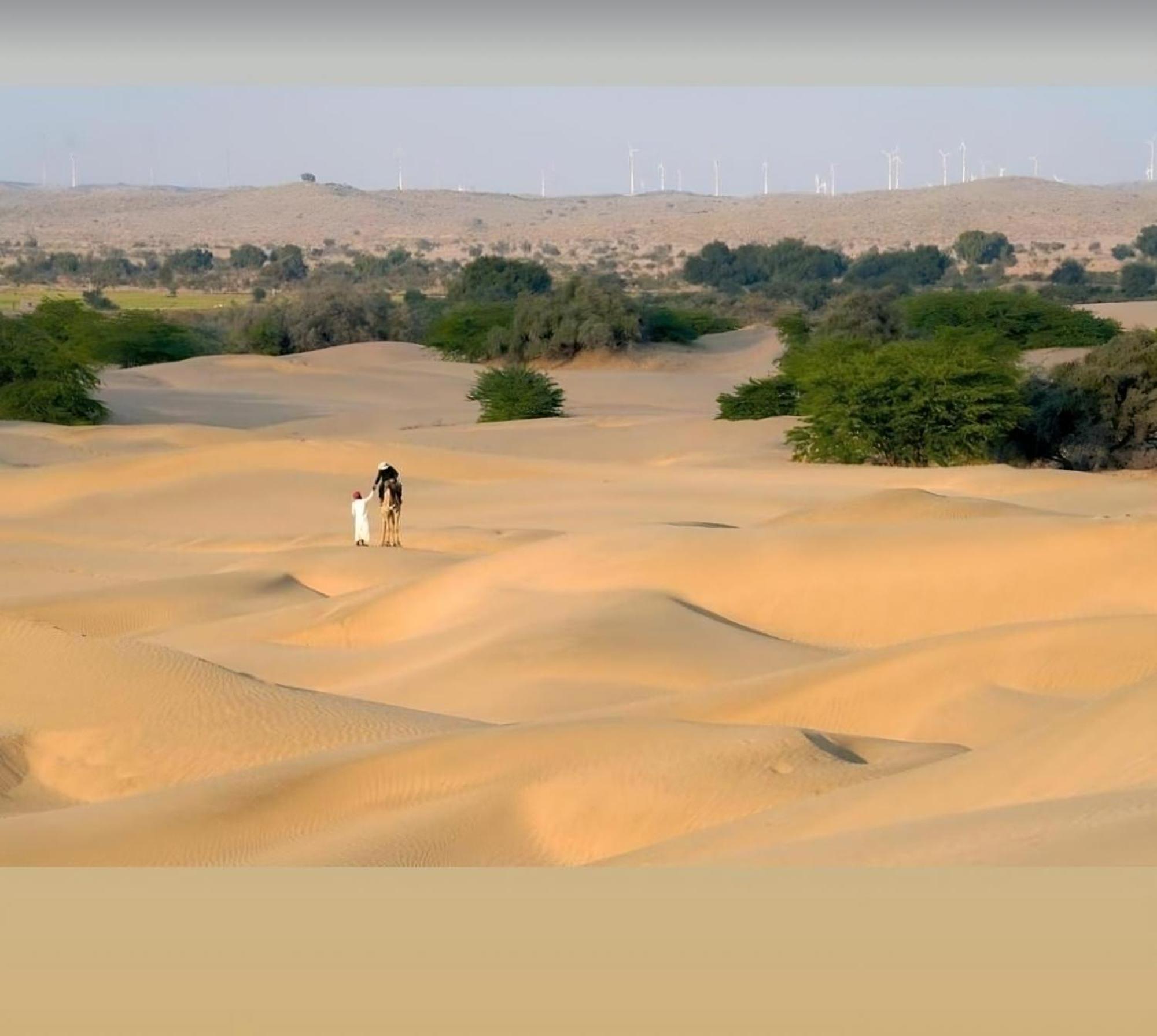 Desert Drop Resort Jaisalmer Sam Bagian luar foto